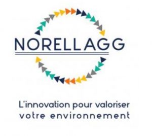 norellagg